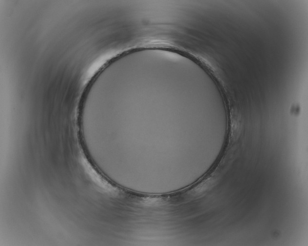 X0000111651422200908071356