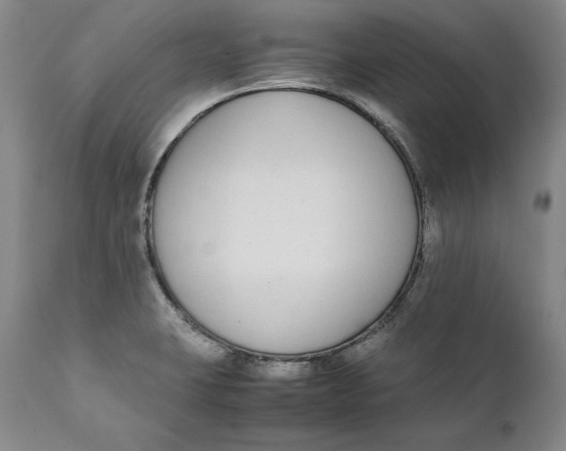 X0000111651423200908071356