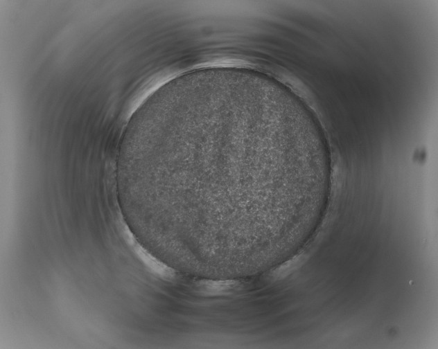 X0000111651425200908071356
