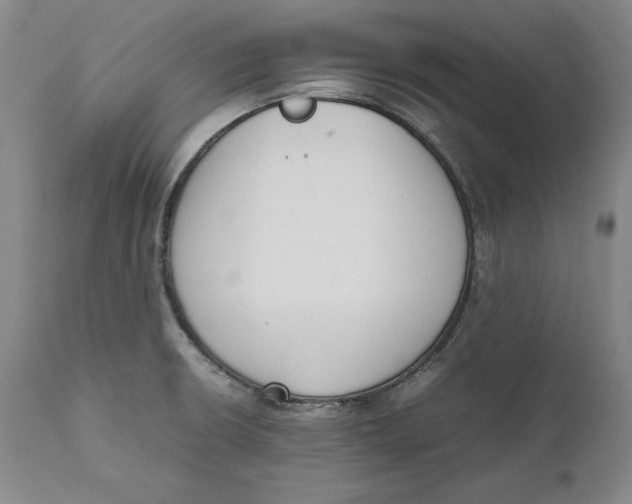 X0000111651426200908071356