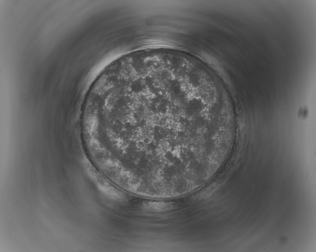 X0000111651427200908071356