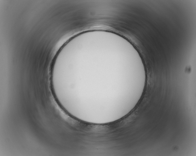 X0000111651430200908071356