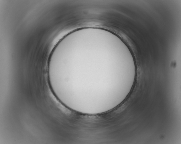 X0000111651432200908071356