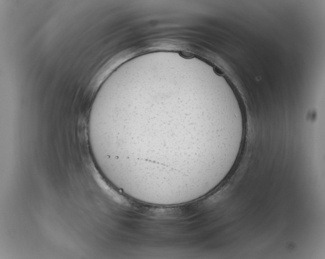 X0000111651433200908071356
