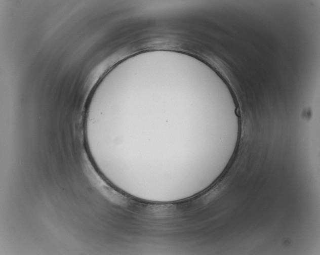 X0000111651434200908071356