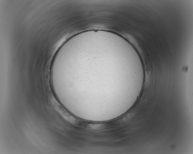 X0000111651435200908071356