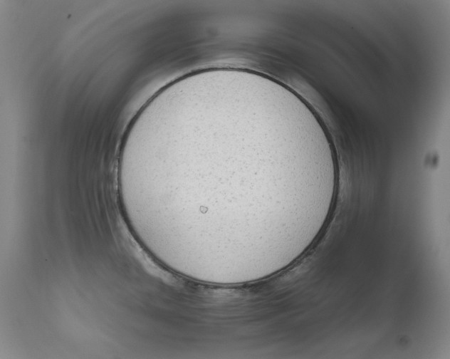 X0000111651436200908071356