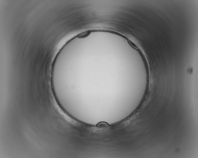 X0000111651437200908071356