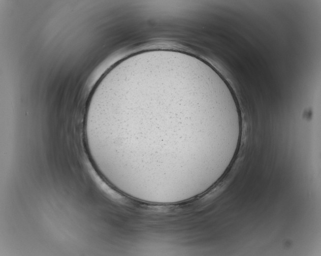 X0000111651438200908071356