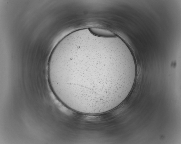 X0000111651439200908071356