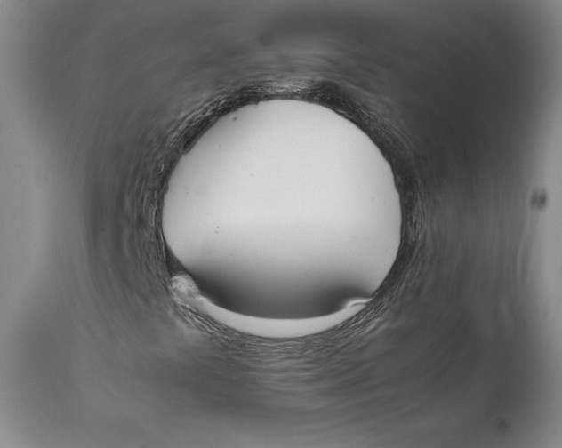 X0000111651441200908071356