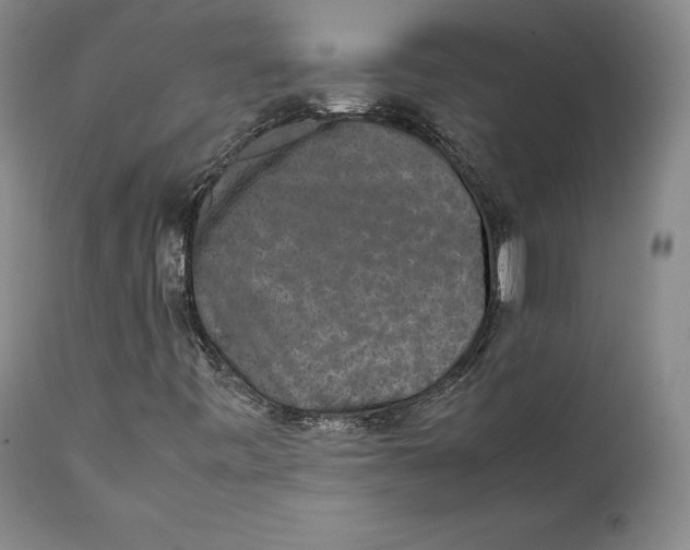 X0000111651443200908071356