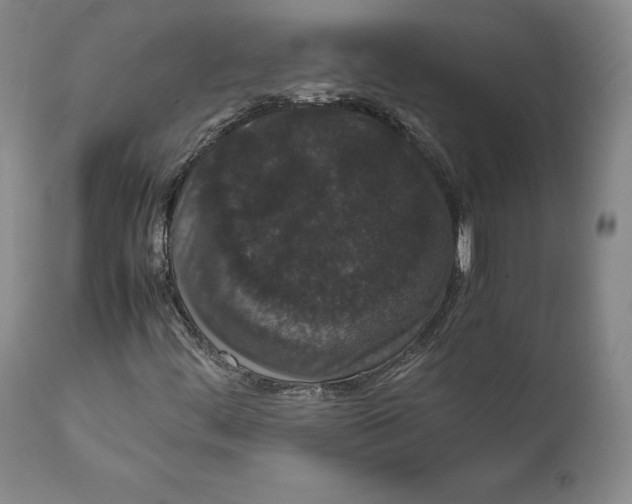 X0000111651444200908071355