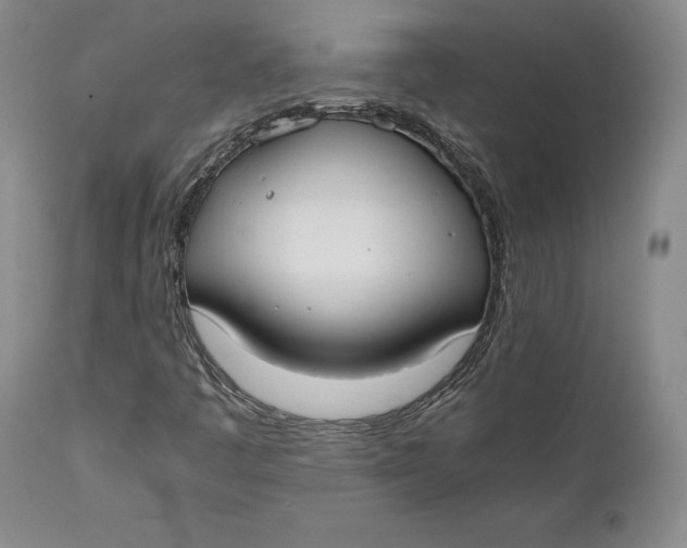 X0000111651445200908071355