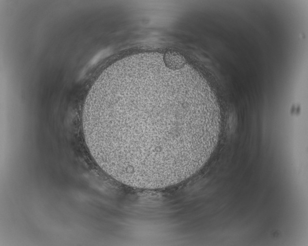 X0000111651446200908071355