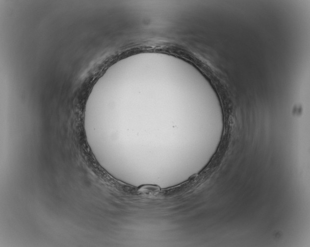X0000111651447200908071355