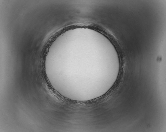 X0000111651448200908071355