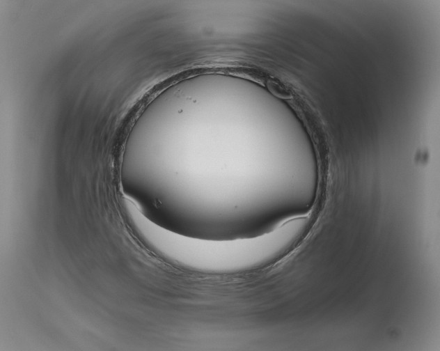 X0000111651449200908071355