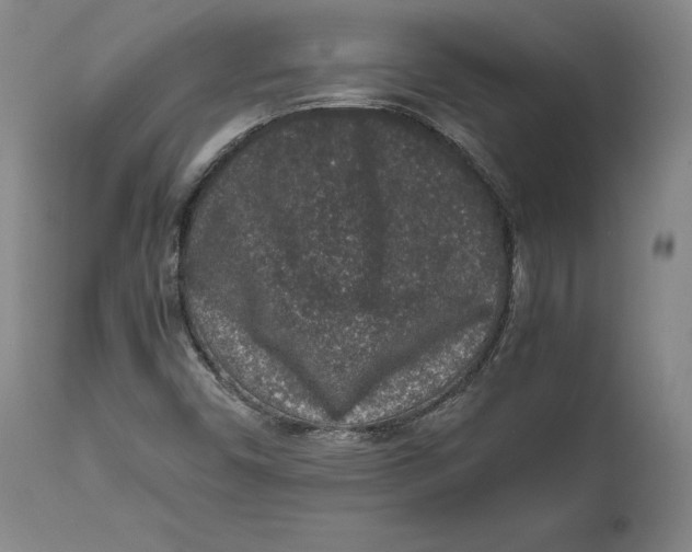 X0000111651450200908071355