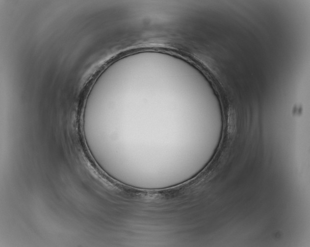 X0000111651452200908071355