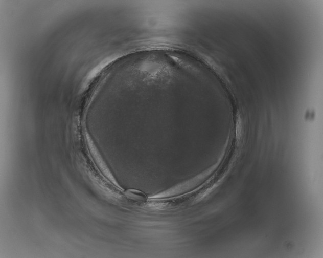 X0000111651453200908071355