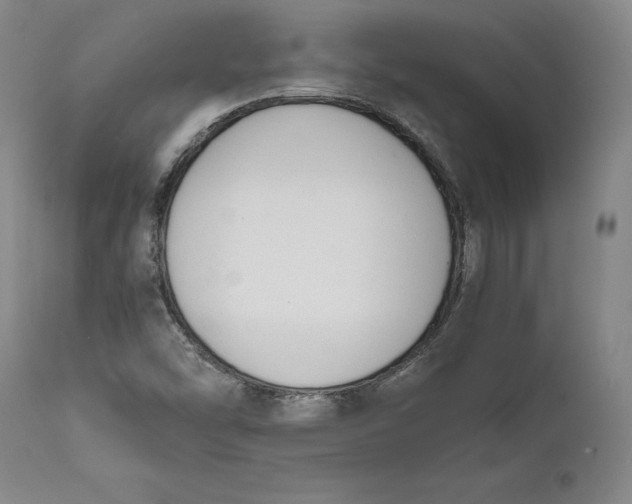 X0000111651454200908071355