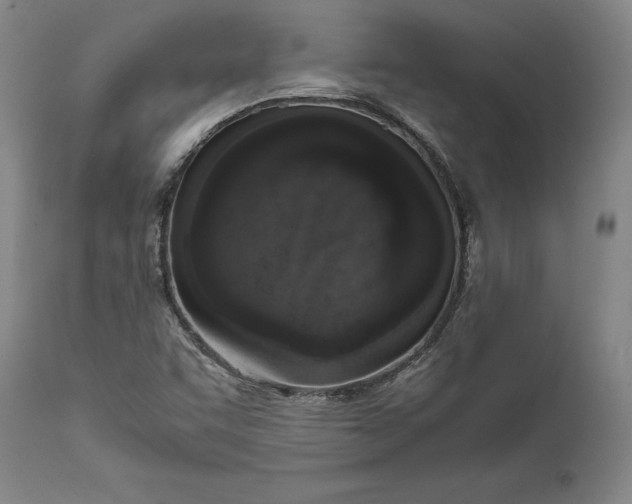 X0000111651455200908071355