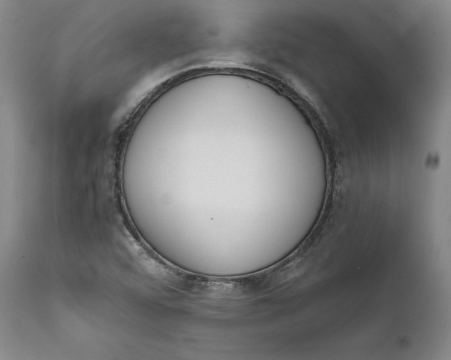 X0000111651456200908071355