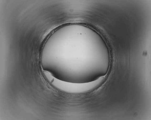 X0000111651457200908071355