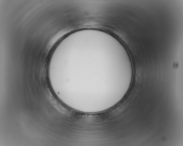 X0000111651458200908071355