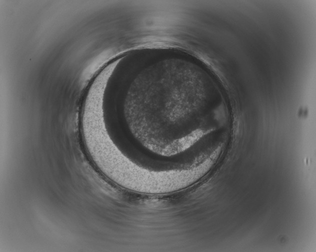 X0000111651459200908071355
