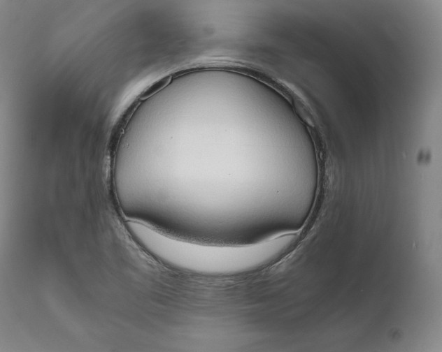 X0000111651461200908071355