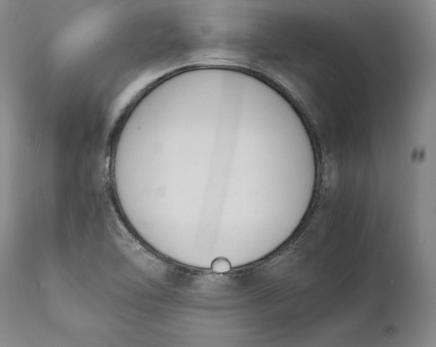 X0000111651462200908071355