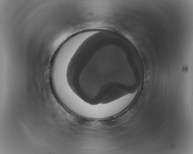 X0000111651463200908071355