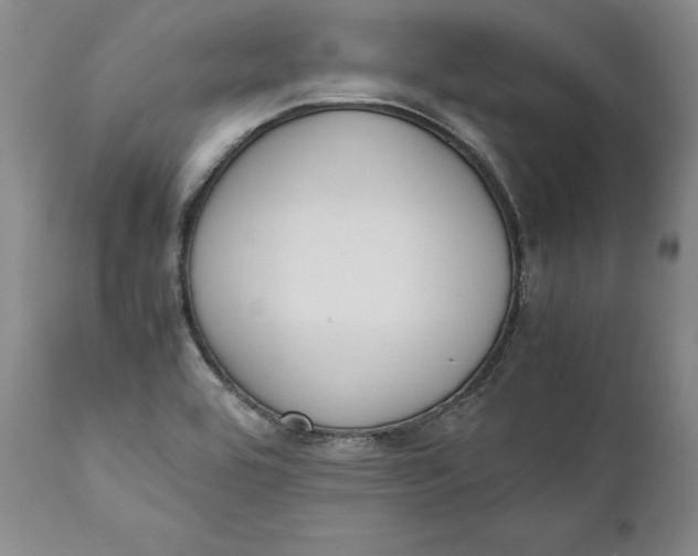 X0000111651464200908071355