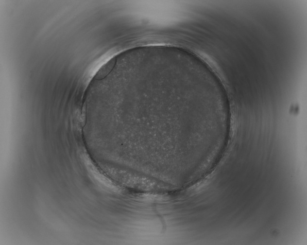 X0000111651465200908071355