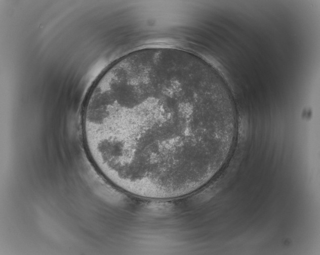 X0000111651466200908071355