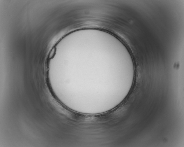 X0000111651467200908071355
