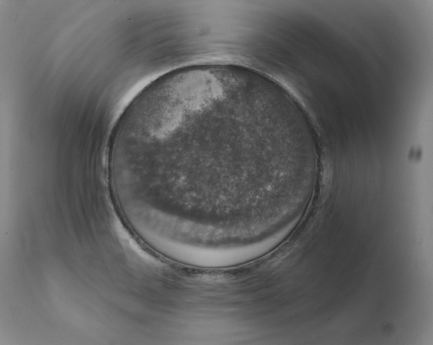 X0000111651468200908071355