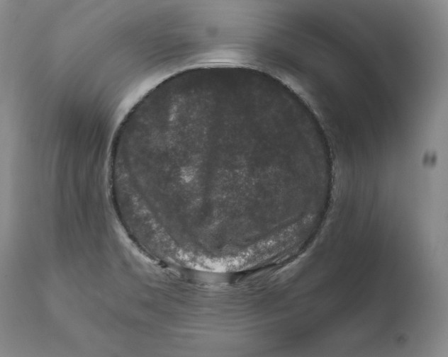 X0000111651469200908071355