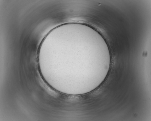 X0000111651470200908071355
