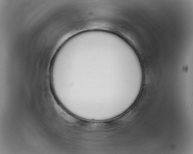 X0000111651471200908071355