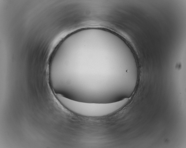 X0000111651472200908071355