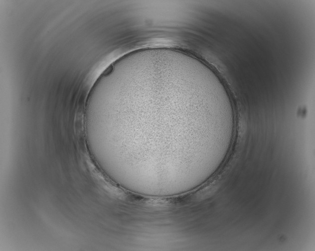 X0000111651473200908071355