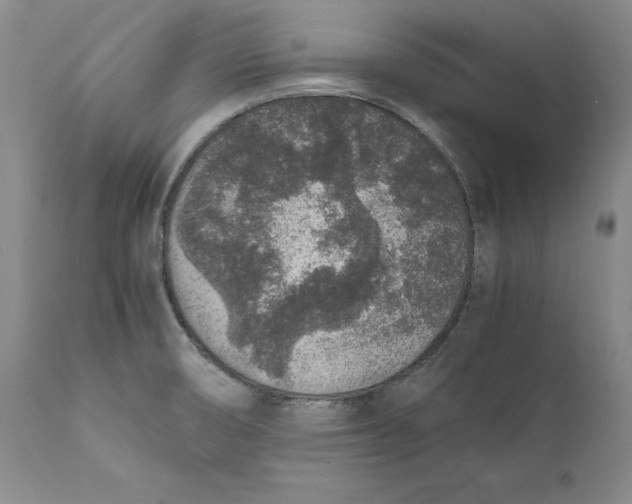 X0000111651474200908071355