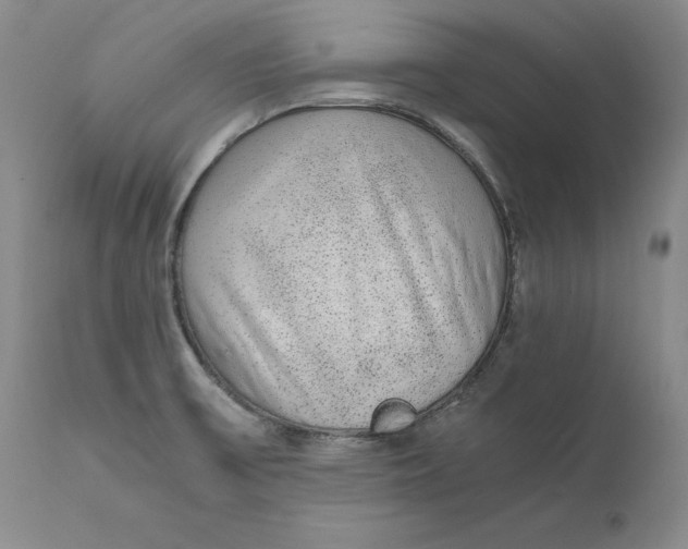 X0000111651475200908071355