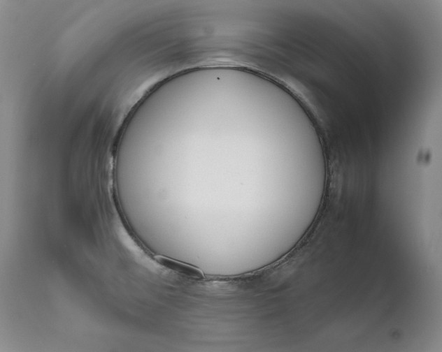 X0000111651476200908071355