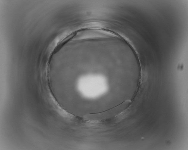 X0000111651477200908071355