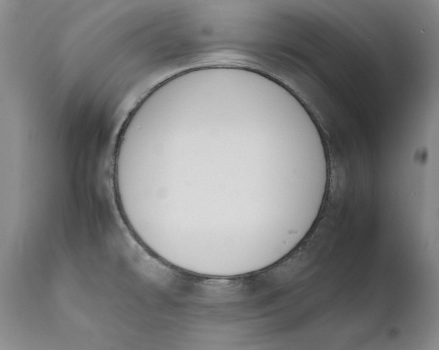 X0000111651478200908071355