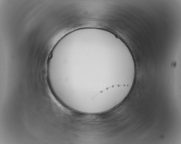 X0000111651479200908071355